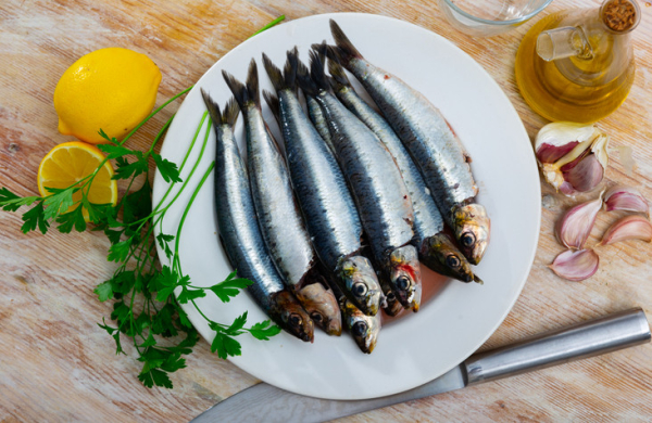 A white plate with fresh silvery sardines with sliced lemon, parsley, garlic cloves, and olive at the ready to cook 